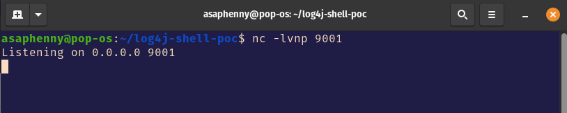 Netcat